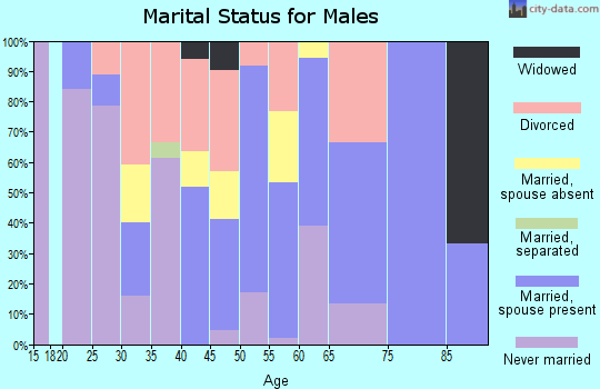 Zip code 89822 marital status for males