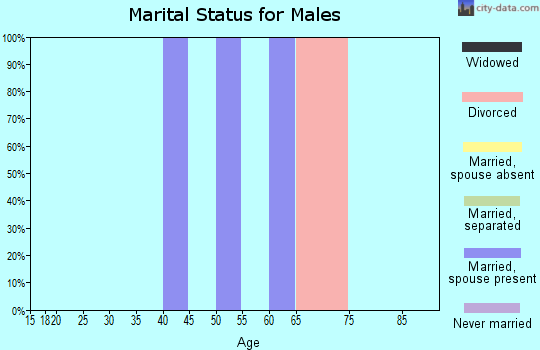 Zip code 89828 marital status for males