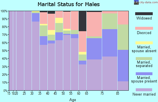 Zip code 90013 marital status for males