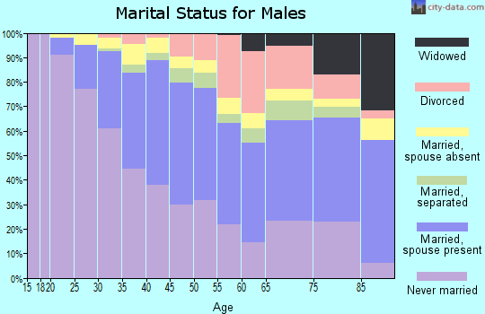 Zip code 90019 marital status for males
