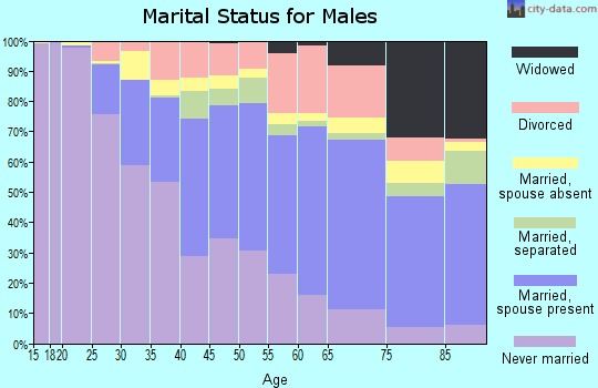 Zip code 90043 marital status for males