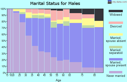 Zip code 90065 marital status for males