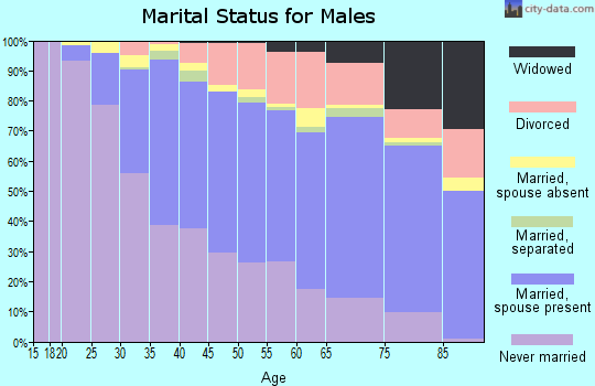 Zip code 90066 marital status for males