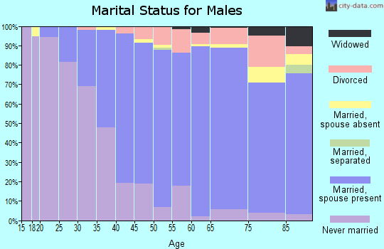 Zip code 90210 marital status for males