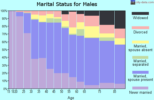 Zip code 90241 marital status for males