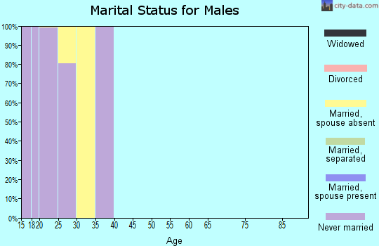 Zip code 90263 marital status for males