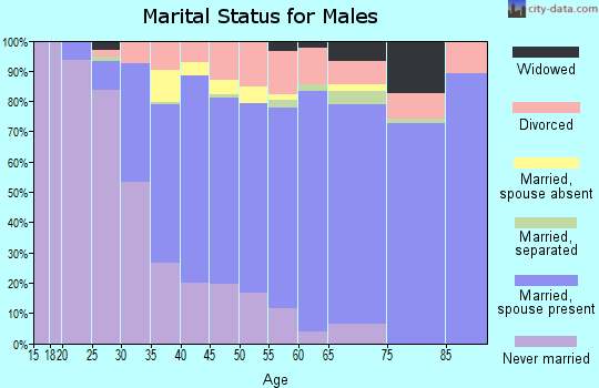 Zip code 90504 marital status for males