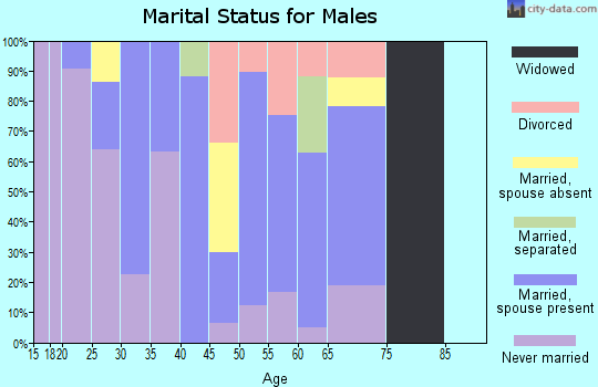 Zip code 90704 marital status for males