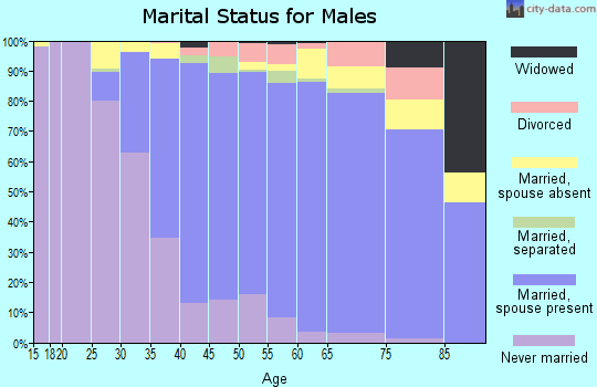 Zip code 91006 marital status for males