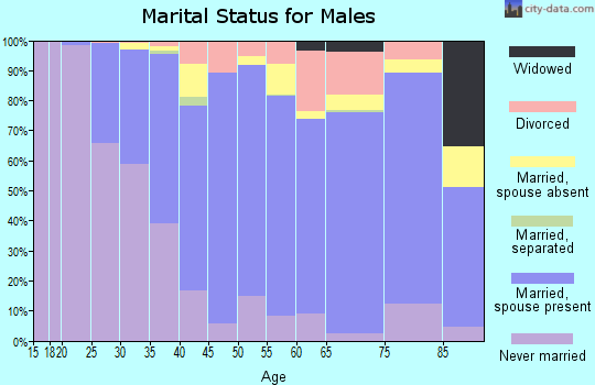 Zip code 91202 marital status for males