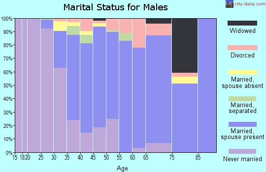 Zip code 91203 marital status for males