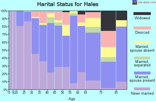 Zip code 91204 marital status for males