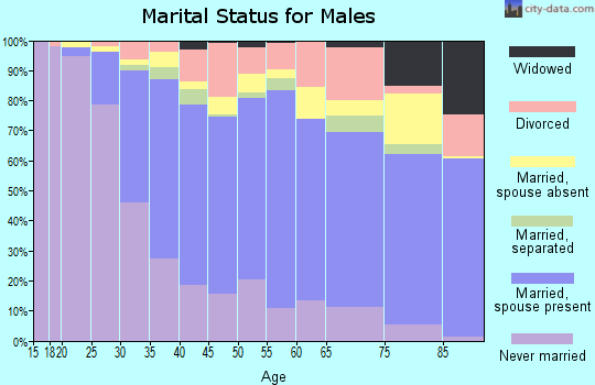 Zip code 91205 marital status for males