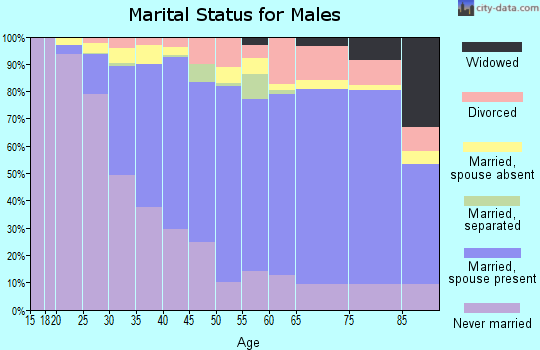 Zip code 91206 marital status for males