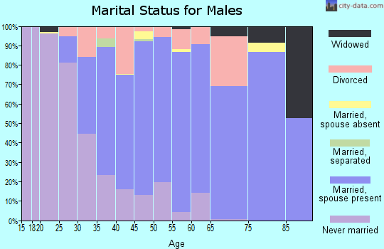 Zip code 91301 marital status for males