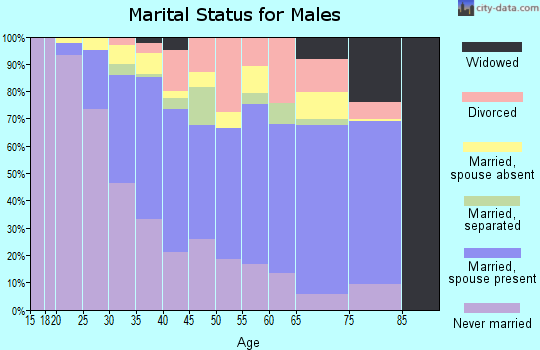 Zip code 91303 marital status for males