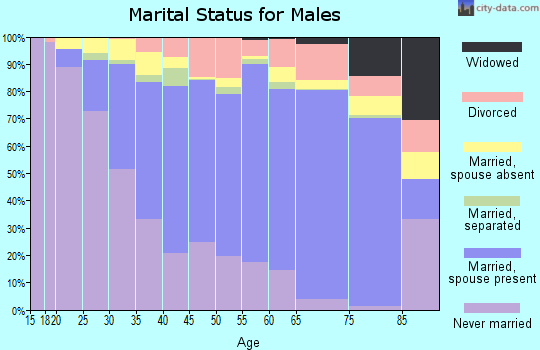 Zip code 91304 marital status for males