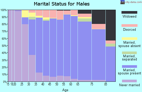 Zip code 91320 marital status for males