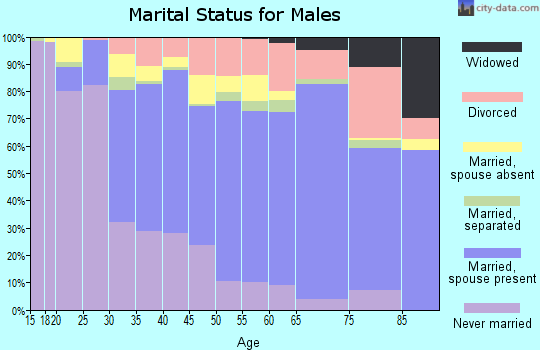 Zip code 91321 marital status for males