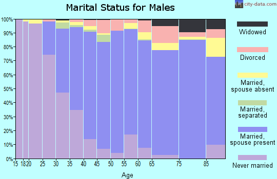 Zip code 91326 marital status for males