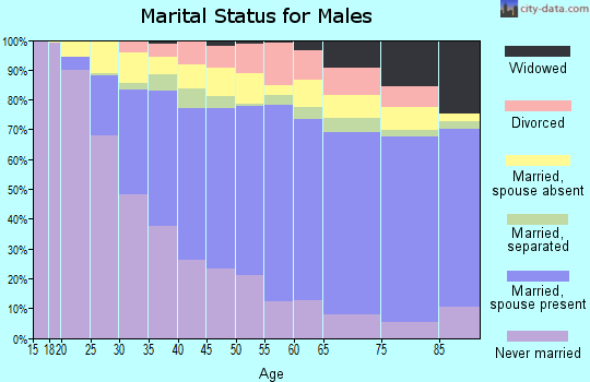 Zip code 91331 marital status for males