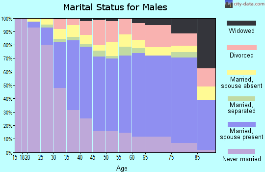 Zip code 91335 marital status for males