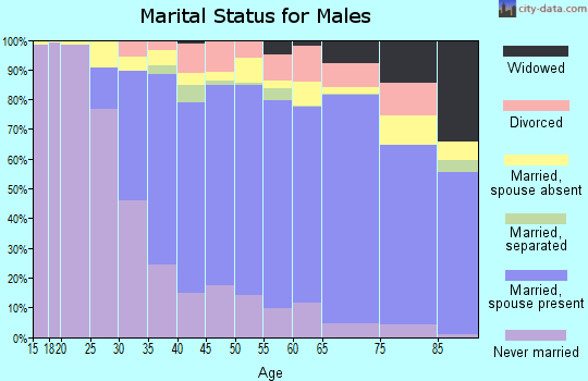 Zip code 91344 marital status for males