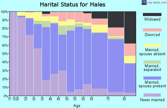 Zip code 91345 marital status for males