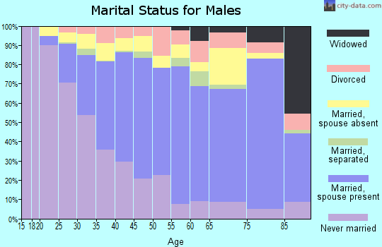 Zip code 91352 marital status for males