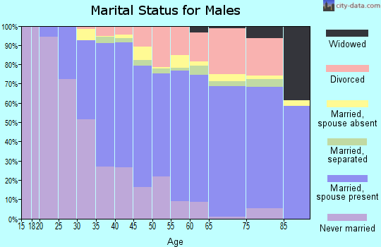 Zip code 91355 marital status for males