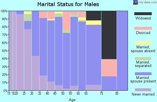 Zip code 91381 marital status for males