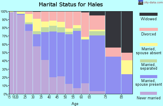 Zip code 91384 marital status for males