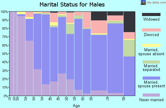 Zip code 91504 marital status for males