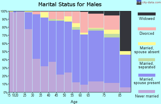 Zip code 91505 marital status for males