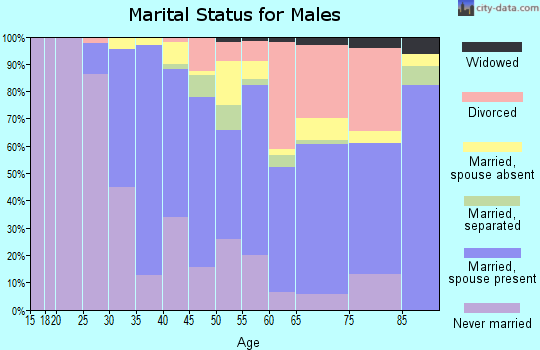 Zip code 91506 marital status for males