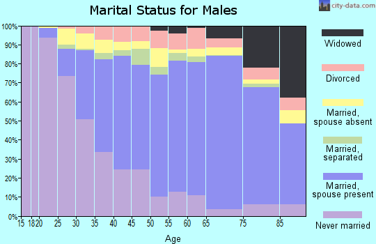 Zip code 91706 marital status for males
