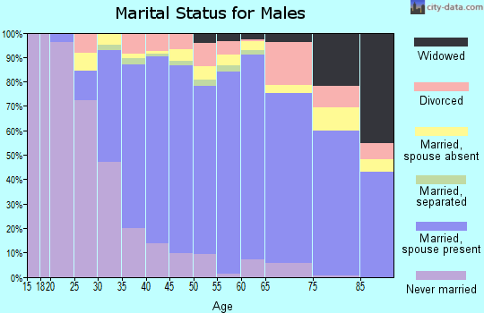 Zip code 91775 marital status for males