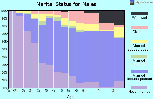 Zip code 91801 marital status for males