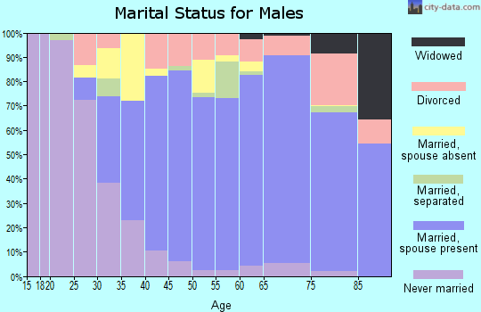 Zip code 91902 marital status for males