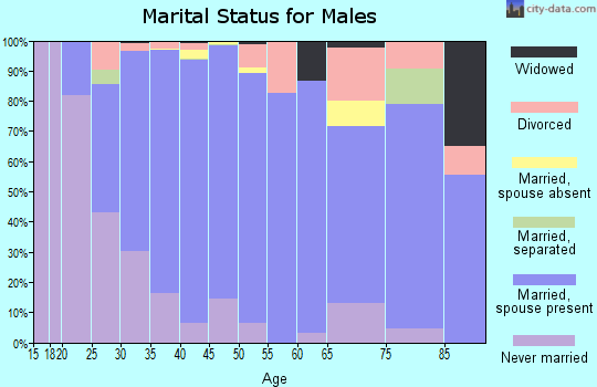 Zip code 91913 marital status for males