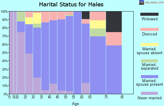 Zip code 91914 marital status for males