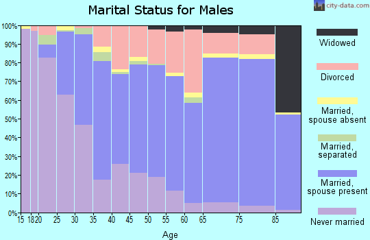 Zip code 91941 marital status for males