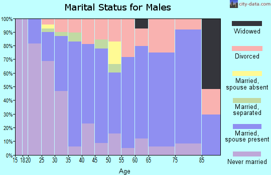 Zip code 91978 marital status for males