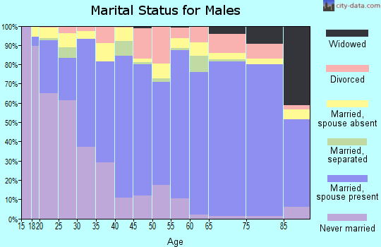 Zip code 92028 marital status for males