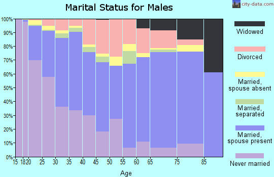 Zip code 92054 marital status for males