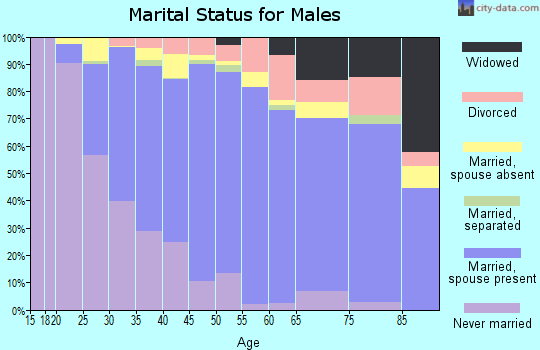 Zip code 92069 marital status for males