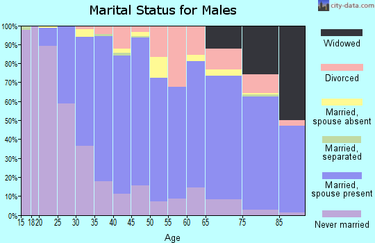 Zip code 92078 marital status for males