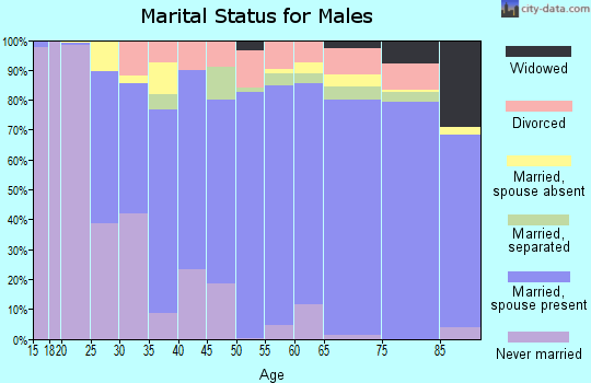 Zip code 92082 marital status for males