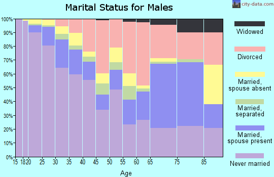Zip code 92101 marital status for males
