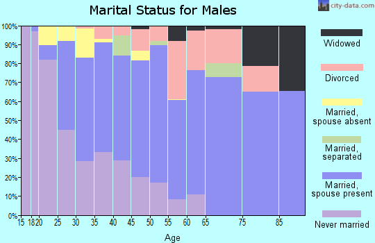 Zip code 92106 marital status for males